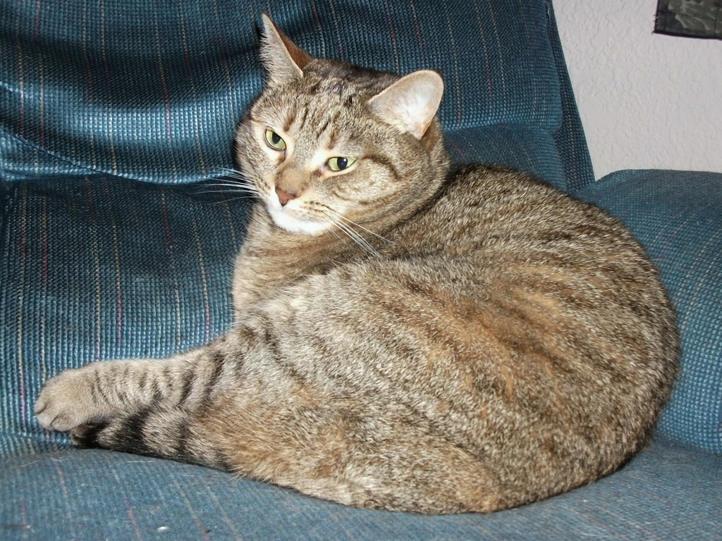 No, you just THINK it's your chair